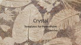  Presentation with stone - Slide set with earth tones - leaf impression in stone background and a coral colored foreground