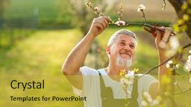  Presentation with gardening - Audience pleasing slide set consisting of earth tones - portrait of a handsome senior backdrop and a yellow colored foreground