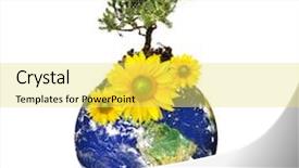  Presentation with environmental - Audience pleasing slide set consisting of worldwideflower - earth with a tree backdrop and a yellow colored foreground