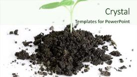  Presentation with sprout - PPT theme consisting of earthing grounding - green sprout background and a  colored foreground