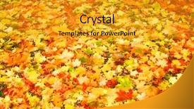  Presentation with autumn leaves - Amazing PPT layouts having earthing grounding - piles of beautiful dry autumn backdrop and a  colored foreground