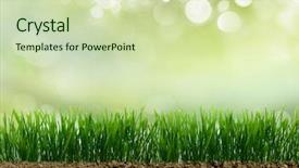  Presentation with earth crust - Audience pleasing PPT theme consisting of earths crust - growing grass in the earth backdrop and a soft green colored foreground