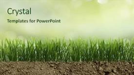  Presentation with earth crust - Beautiful presentation theme featuring earths crust - growing grass in the earth backdrop and a soft green colored foreground