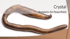  Presentation with earthworm - Amazing theme having value personal development stock market backdrop and a white colored foreground