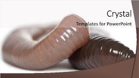  Presentation with earthworm - PPT theme consisting of  background and a  colored foreground