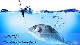  Presentation with worm - Colorful PPT theme enhanced with sea worms - fish and hook with worm backdrop and a light blue colored foreground