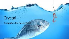  Presentation with worm - PPT layouts consisting of sea worms - fish and hook with worm background and a light blue colored foreground