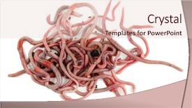  Presentation with history earth globe isolated white - Cool new PPT theme with anellida - worms isolated on white backdrop and a lemonade colored foreground