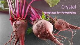  Presentation with bunch - Audience pleasing slide deck consisting of earthy - bunch of young beets backdrop and a violet colored foreground