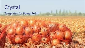  Presentation with earthy - Beautiful PPT theme featuring earthy - field with onions in mesh backdrop and a sky blue colored foreground