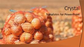  Presentation with earthy - Theme featuring earthy - field with onions in mesh background and a coral colored foreground