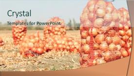  Presentation with earthy - Theme with earthy - field with onions in mesh background and a sky blue colored foreground