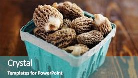 Presentation with mushrooms - Colorful slide set enhanced with earthy - freshly picked morel mushrooms backdrop and a  colored foreground