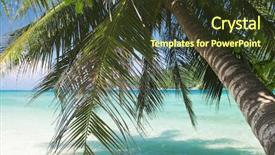  Presentation with coconut palm tree - Slide deck enhanced with east coast - coconut palm tree with sea background and a tawny brown colored foreground