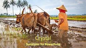  Presentation with javanese - Audience pleasing PPT theme consisting of east-java-indonesia-january-9 backdrop and a tawny brown colored foreground