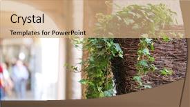  Presentation with decorate - Amazing slide deck having east west culture - flowers decorate colonnade in padova backdrop and a  colored foreground