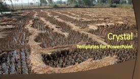  Presentation with rice field - Beautiful presentation design featuring east west culture - rice field just after harvesting backdrop and a  colored foreground