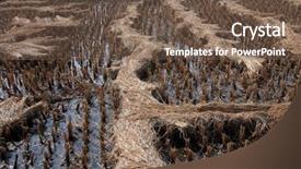  Presentation with rice field - Audience pleasing presentation consisting of east west culture - rice field just after harvesting backdrop and a  colored foreground