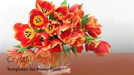  Presentation with floral mothers day - Slide set featuring easter-and-spring-red background and a red colored foreground