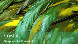  Presentation with carnival - PPT theme with easter angels - green feathers carnival background and a ocean colored foreground