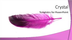  Presentation with feather - Presentation theme enhanced with easter angels - large lilac feather background and a  colored foreground