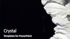  Presentation with angel in white - Presentation theme enhanced with easter angels - white feather white angel wing background and a black colored foreground