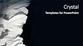  Presentation with angel in white - Amazing presentation having easter angels - white feather white angel wing backdrop and a black colored foreground