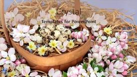  Presentation with quail - Beautiful presentation theme featuring easter-basket-with-quail-eggs backdrop and a coral colored foreground