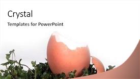  Presentation with fantasy - Slide deck having easter brown egg cracked fantasy backdrop background insert your client background and a white colored foreground