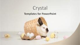  Presentation with easter basket - Presentation design featuring easter-bunny-into-the-basket background and a light gray colored foreground