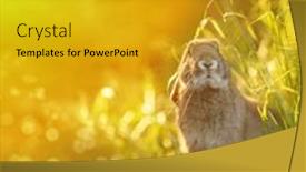  Presentation with easter basket - PPT theme with easter-bunny-with-a-basket background and a gold colored foreground