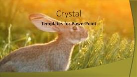  Presentation with easter basket - Slides featuring easter-bunny-with-a-basket background and a gold colored foreground