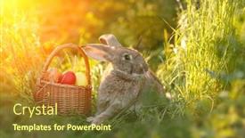  Presentation with easter basket - Presentation consisting of easter-bunny-with-a-basket background and a tawny brown colored foreground
