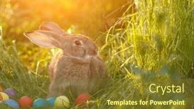  Presentation with easter basket - PPT theme having easter-bunny-with-a-basket background and a tawny brown colored foreground