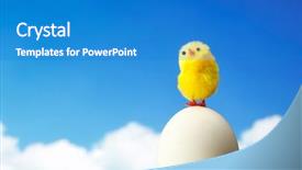  Presentation with chick - Amazing PPT layouts having easter chick against sky background backdrop and a teal colored foreground