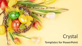  Presentation with easter bunny yellow spring flower - Audience pleasing presentation theme consisting of easter composition with colorful easter backdrop and a blonde colored foreground