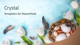  Presentation with white flowers - Cool new PPT layouts with easter composition with easter eggs backdrop and a sky blue colored foreground
