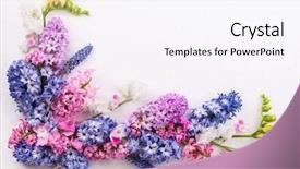  Presentation with white flowers - Audience pleasing presentation design consisting of easter concept with copy spase backdrop and a sky blue colored foreground