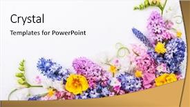  Presentation with white easter lily flowers - Cool new slide set with easter concept with copy spase backdrop and a pink colored foreground