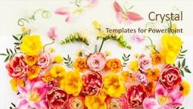  Presentation with white flowers - Slide deck featuring easter concept with copy spase background and a soft green colored foreground