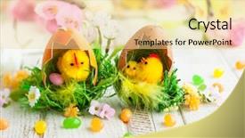 Presentation with chicks - Cool new slides with easter decoration with chicks eggs backdrop and a  colored foreground