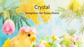  Presentation with chick - Presentation theme featuring easter decoration with funny chick spring flowers and colorful dyed eggs in nest background and a blonde colored foreground