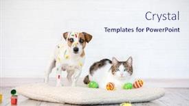  Presentation with cat dog - Colorful slide deck enhanced with easter-dog-and-cat backdrop and a sky blue colored foreground