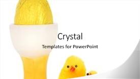  Presentation with web - Audience pleasing presentation theme consisting of easter egg in a web footed egg cup with three yellow fluffy toy chickens over white background backdrop and a white colored foreground