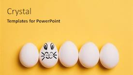  Presentation with bunny - 