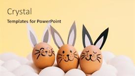  Presentation with bunny - 