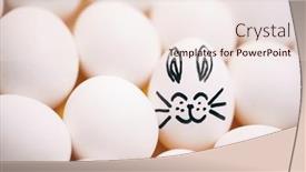  Presentation with bunny - 