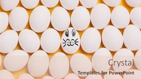  Presentation with bunny - 