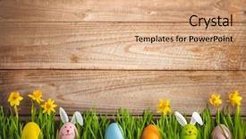  Presentation with daffodil - Cool new PPT layouts with easter eggs and daffodil flower backdrop and a coral colored foreground