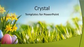  Presentation with daffodil - PPT theme with easter eggs and daffodil flower background and a light blue colored foreground